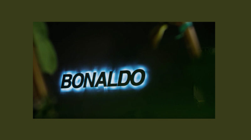 bonaldo-web